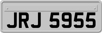 JRJ5955