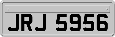 JRJ5956