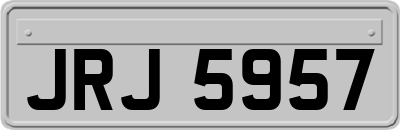 JRJ5957