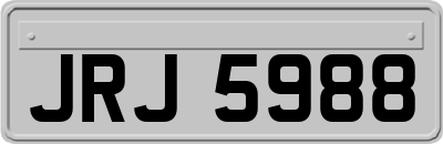 JRJ5988