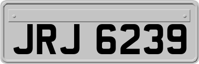 JRJ6239