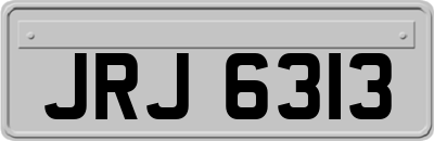 JRJ6313