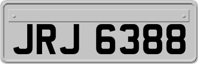 JRJ6388