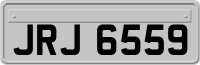 JRJ6559
