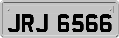 JRJ6566