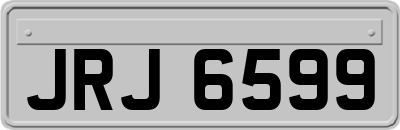 JRJ6599