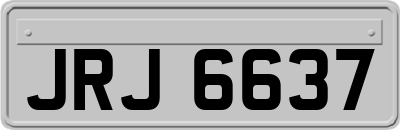 JRJ6637