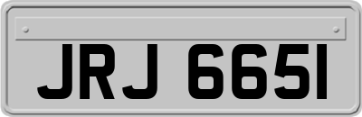 JRJ6651