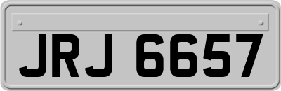 JRJ6657