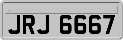 JRJ6667