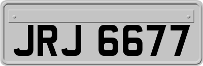 JRJ6677