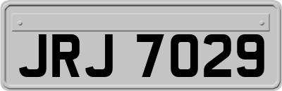 JRJ7029