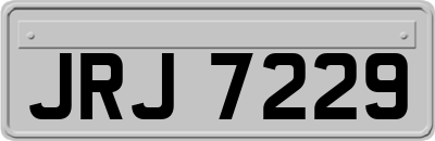 JRJ7229