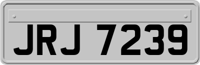 JRJ7239