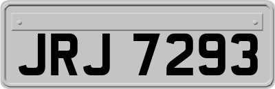 JRJ7293