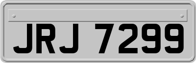 JRJ7299