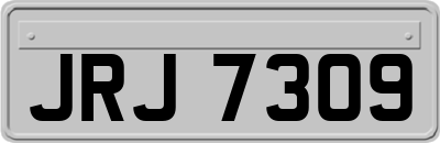 JRJ7309