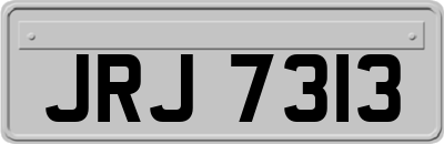 JRJ7313
