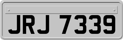 JRJ7339