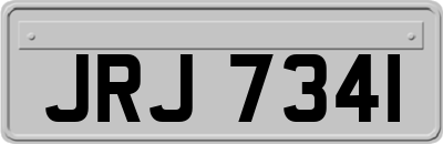 JRJ7341