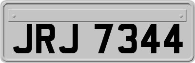 JRJ7344