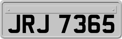 JRJ7365