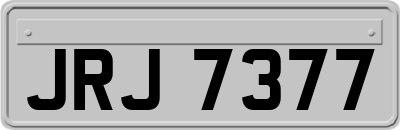 JRJ7377