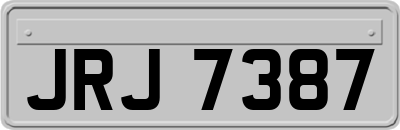 JRJ7387