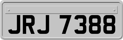 JRJ7388