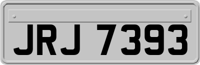 JRJ7393