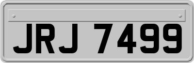 JRJ7499