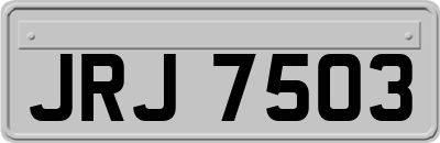 JRJ7503