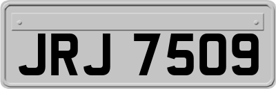 JRJ7509