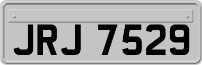 JRJ7529