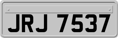 JRJ7537