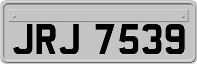 JRJ7539