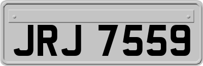 JRJ7559