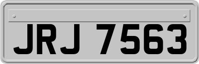 JRJ7563