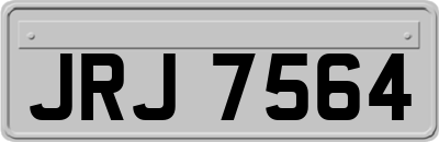 JRJ7564