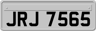 JRJ7565