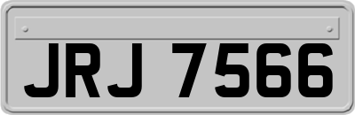 JRJ7566