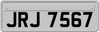 JRJ7567