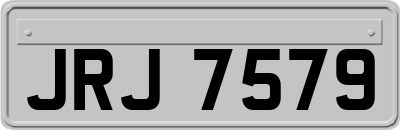 JRJ7579