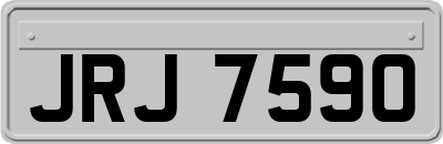 JRJ7590