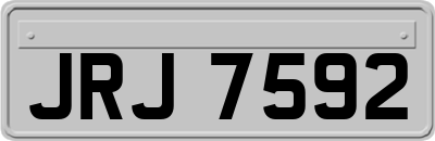 JRJ7592