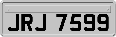 JRJ7599