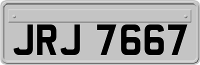 JRJ7667