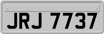 JRJ7737