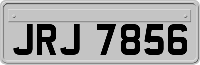 JRJ7856