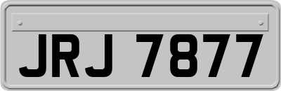 JRJ7877